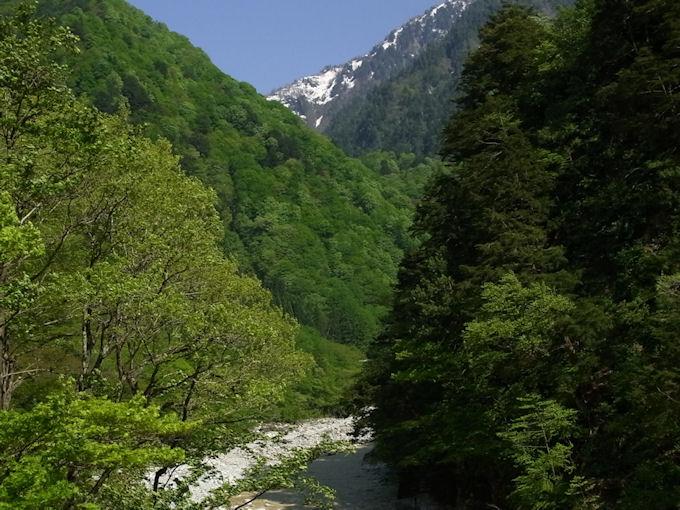    黒部トロッコ電車_c0061695_22593338.jpg