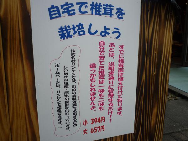 d0087595_18393950.jpg