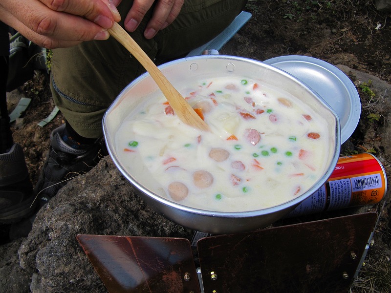 ルリビタキの住む山＠西岳・八ヶ岳　２０１０・５・２２（土）～２３（日）_c0213096_19353551.jpg