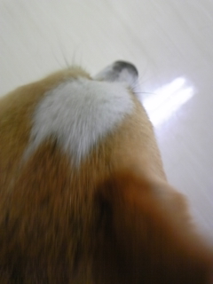 f0017897_22491879.jpg