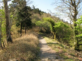 c0212298_17301595.jpg