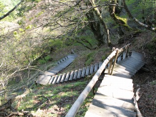 c0212298_17304310.jpg