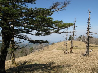 c0212298_17332365.jpg