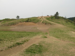 c0212298_1735954.jpg