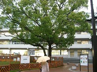 a0057402_224735.jpg