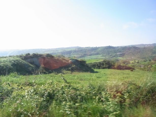 b0131105_16261596.jpg