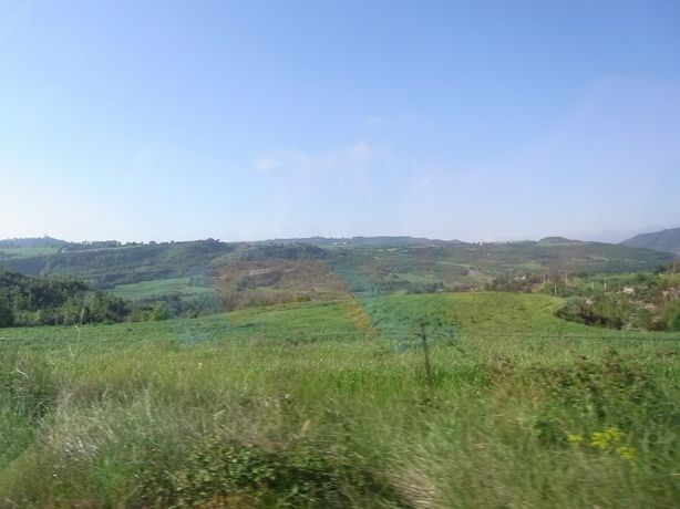 b0131105_1627319.jpg