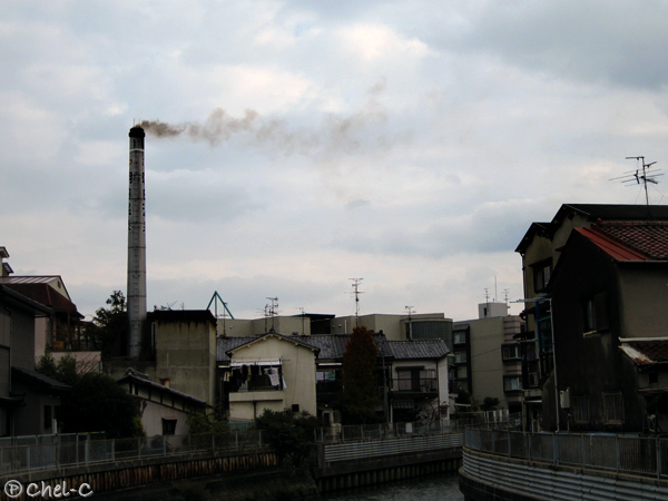 a0154706_21263927.jpg
