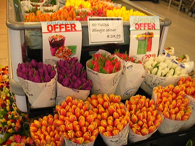 f0038407_16202069.jpg