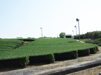 b0172208_2485638.jpg