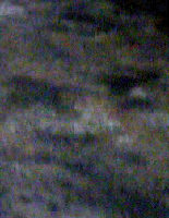 e0103408_12455994.gif