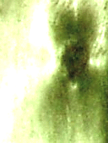 e0103408_12471443.gif
