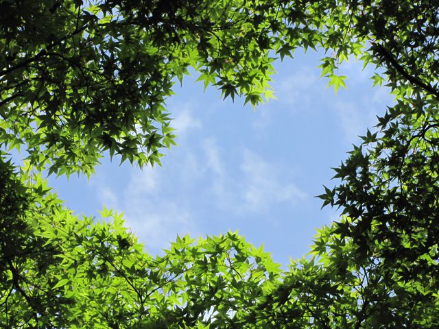 f0198909_2175551.jpg