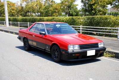R30　スカイライン　完成_b0173311_031426.jpg