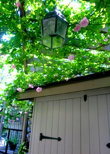 f0236311_8392564.jpg