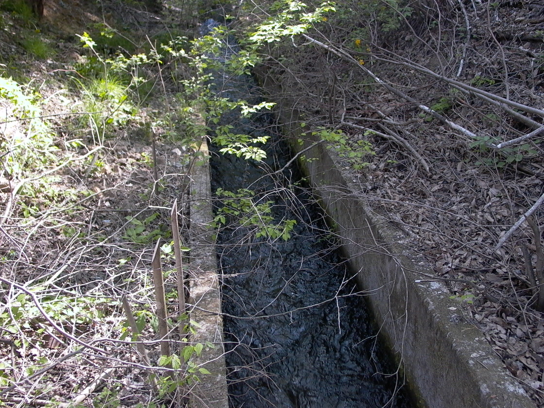 a0150213_1254860.jpg