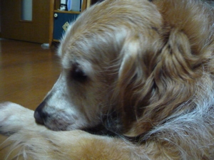 d0150013_18184866.jpg