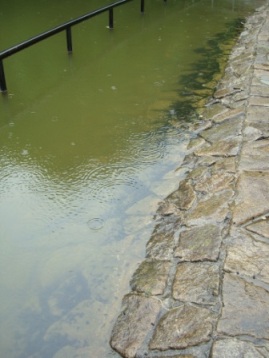 c0125114_17384415.jpg