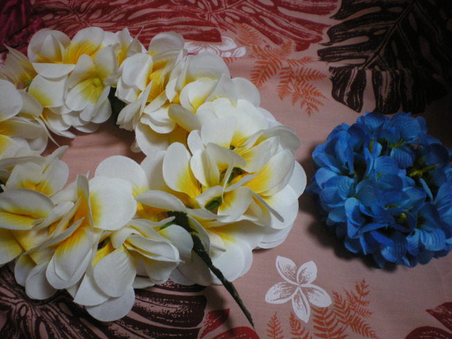 f0236314_050359.jpg