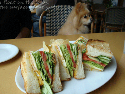 b0075318_15391051.gif
