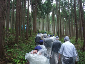 第61回全国植樹祭_d0096520_1172877.jpg