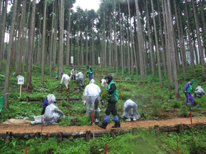 第61回全国植樹祭_d0096520_118234.jpg