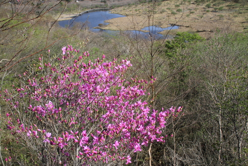 c0215627_16122927.jpg