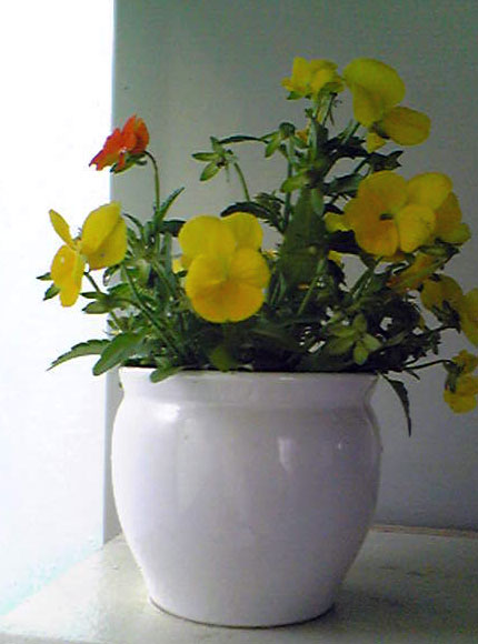 e0103327_2121853.jpg