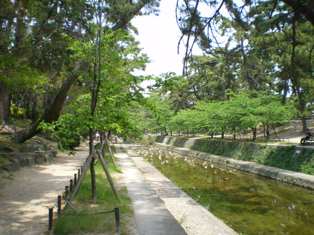 d0054930_13593653.jpg