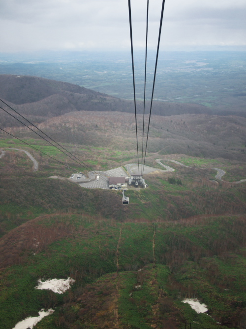 d0125535_201029.jpg