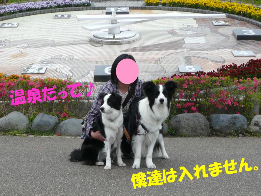 c0147241_2247494.jpg