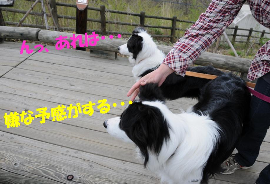 c0147241_22501759.jpg