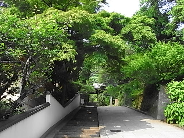 北鎌倉_b0145846_2218119.jpg