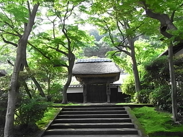 北鎌倉_b0145846_22434454.jpg