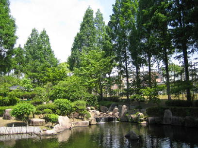 真夏日 モルゲンロート