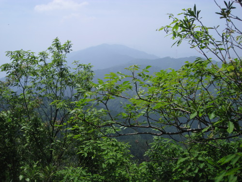 ５８回　８８座　２０１０年５月２１～２２日　二上山　岩橋山　大和葛城山　金剛山_c0179351_18482016.jpg