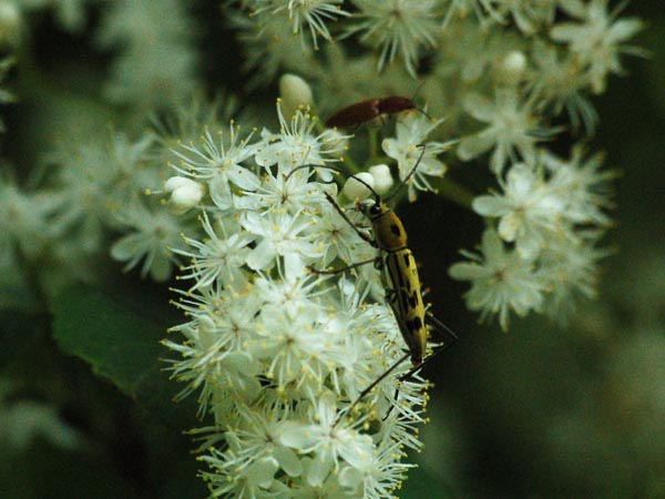 c0045352_22263317.jpg