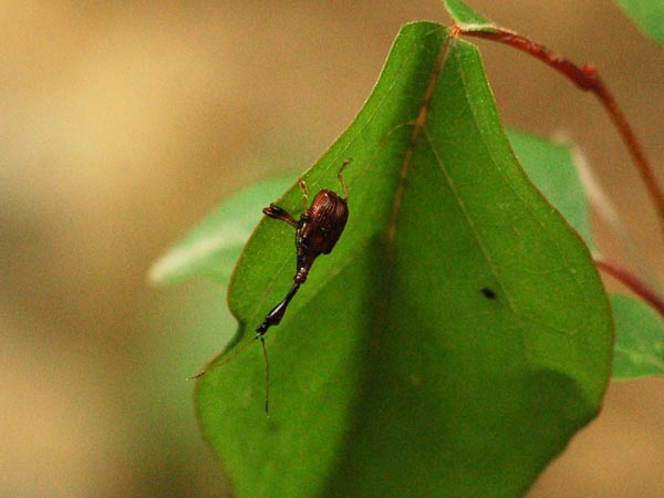 c0045352_2226947.jpg