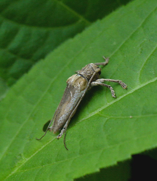 d0091754_0191734.jpg
