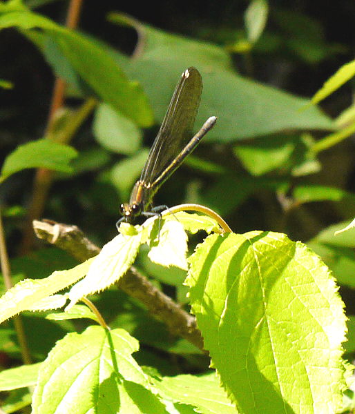 d0091754_0403994.jpg