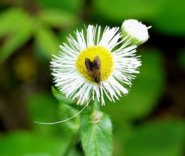 d0091754_053927.jpg