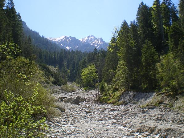 b0175255_16103550.jpg