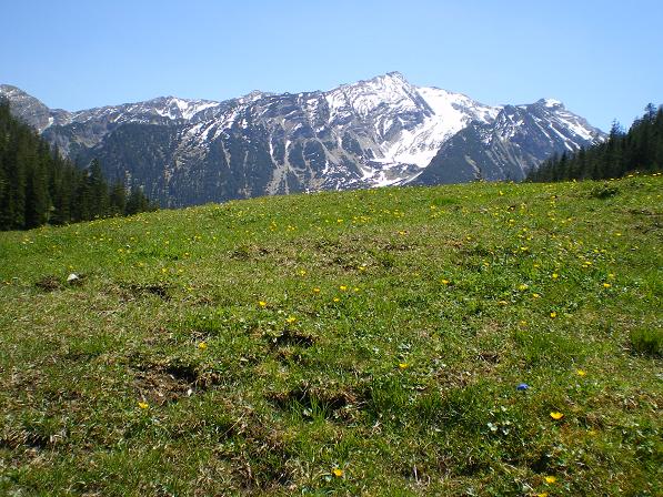b0175255_16124584.jpg
