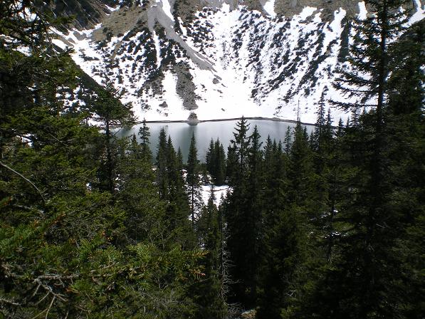b0175255_1618277.jpg