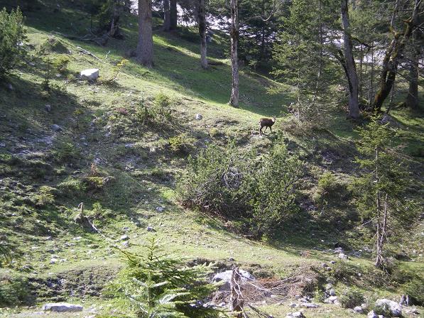 b0175255_16243017.jpg