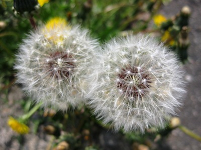 c0190960_7382737.jpg