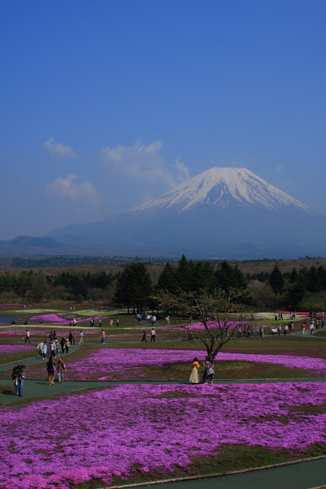 c0213564_9181010.jpg