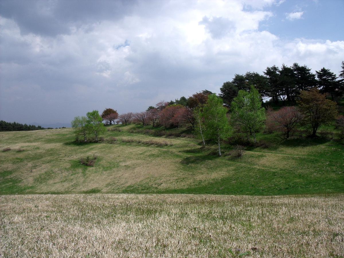 b0067569_0145839.jpg