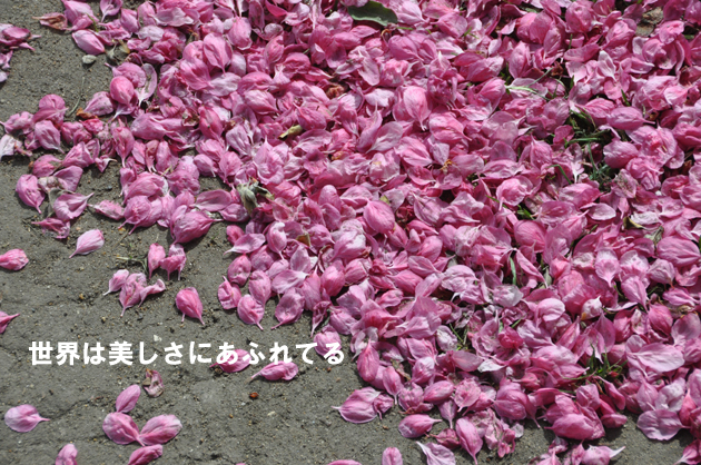 心の清涼剤_e0171573_21372789.jpg