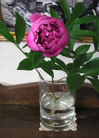 f0128076_9645.jpg